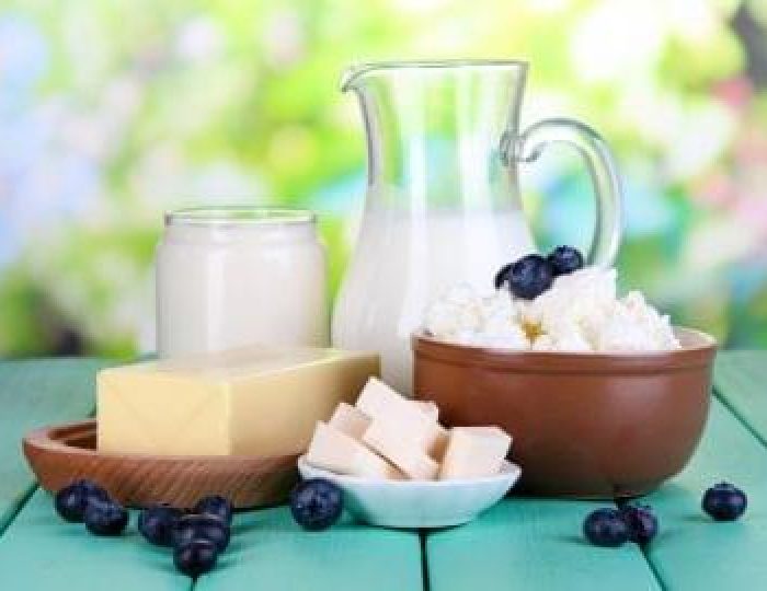 Fresh-dairy-products-with-blueberry-are-examples-of-keto-fat-sources